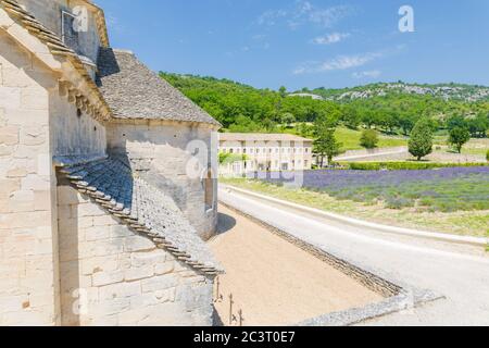Abbaye de Senanque, lavanda della Provenza in Francia Foto Stock