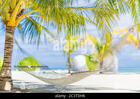 Amaca da spiaggia, arte rilassante e rilassante umore estivo. Destinazione esotica, guardaroba di lusso, palme e calde vibrazioni estive sulla spiaggia Foto Stock