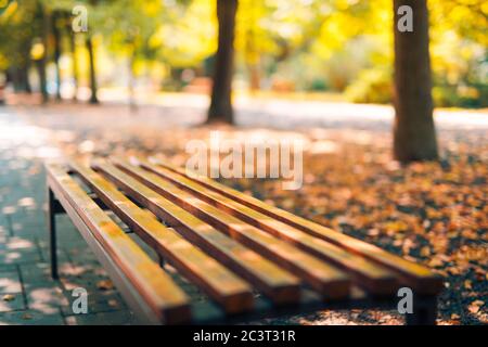 Panca nel parco autunnale, tranquilla e rilassante luce del tramonto, soffusa moody autunno natura sfocata. Paesaggio calmo, alberi e vialetto sfocato Foto Stock
