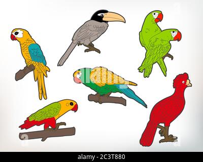 Raccolta di illustrazioni vettoriali o uccelli Illustrazione Vettoriale