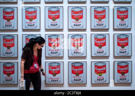 Visitatore ammira Campbell zuppa di lattine, Andy Warhol, 1962, MOMA, New York City, Stati Uniti d'America, America del Nord Foto Stock