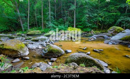 Incredibile natura forestale, fiume ruscello con rocce in splendida primavera estate luce solare. Natura meraviglia piccola cascata in verde foresta lussureggiante paesaggio Foto Stock