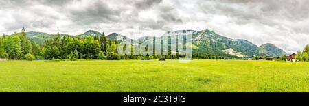 Splendido scenario con cielo nuvoloso, mare nuvoloso, sole tenue. Paesaggio alpino di montagna campo Foto Stock