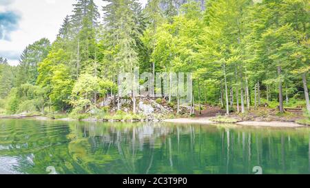 Tranquillo lago di montagna con splendida vista riflesso della pineta in lago. Acque tranquille e panoramiche, paesaggi naturali all'aperto Foto Stock