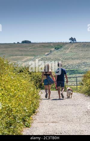 I turisti e il loro cane passeggiano lungo una corsia di campagna sulla West Pentire Point West a Newquay in Cornovaglia. Foto Stock