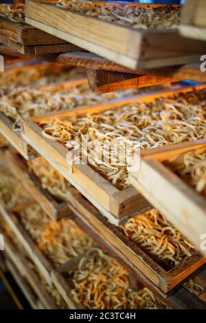 Pasta cruda, spaghetti e tagliatelle giacciono su un ripiano in una scatola di legno della fabbrica. Fare la pasta. Primo piano. Orizzontale Foto Stock