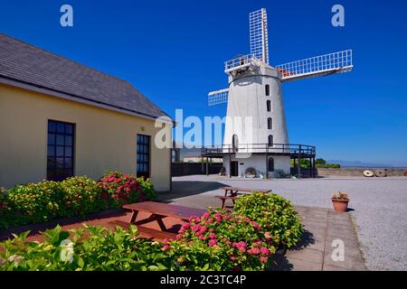 Irlanda, Contea di Kerry, Blennerville, Blennerville mulino vicino Tralee. Foto Stock