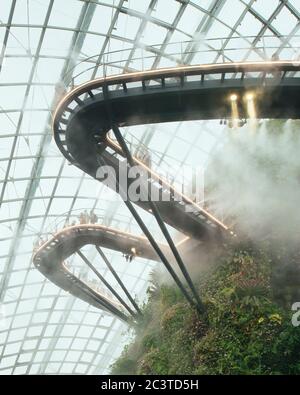 Vista interna con nebulizzazione attivata. Conservatori raffreddati, Gardens by the Bay, Singapore, Singapore. Architetto: Wilkinson Eyre Architects, 2011. Foto Stock