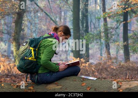 Micologo femminile al lavoro in una foresta autunnale, Paesi Bassi, Gelderland, Veluwe Foto Stock