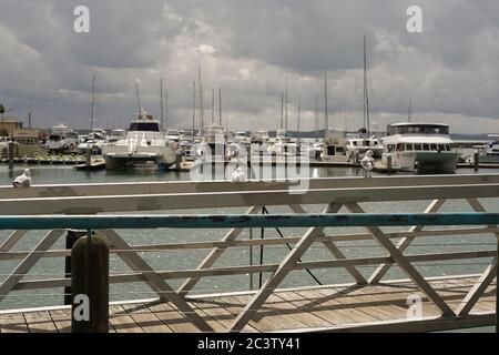 Barca e avifauna a Marina, Hervey Bay, Queensland, Australia Foto Stock