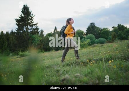 Giovane donna in una passeggiata all'aperto sul prato in estate natura, a piedi. Foto Stock
