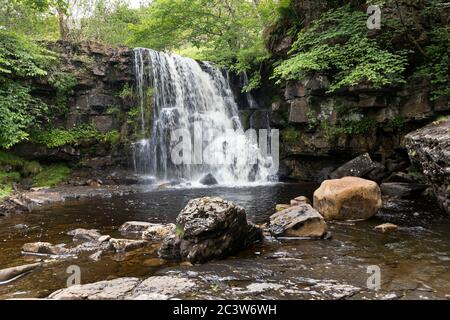 East Gill Force, Keld, Swaledale, Yorkshire Dales, Regno Unito Foto Stock