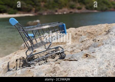 Shopping online della Cina, 11.11 single's giorno di vendita concetto. Il carrello per la vendita di 11.11 single giorno. Foto Stock