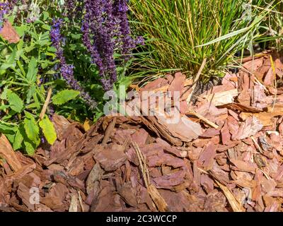 Scarico del bordo del percorso nel giardino con corteccia di pino Foto Stock