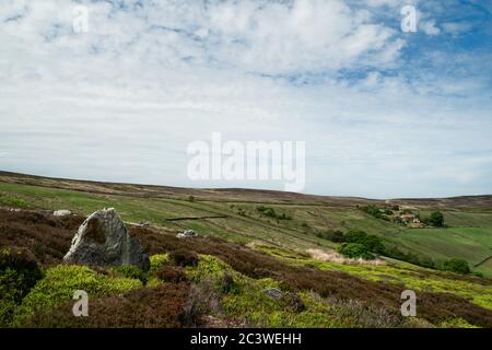 North York Moors con prominenti erpazioni, alberi, campi, erica e erbe sotto il cielo blu e nuvoloso in primavera a Glaisdale, Yorkshire, Regno Unito. Foto Stock