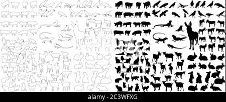 vettore, insieme isolato di sagome animali, conigli, asini, giaguari, corvi, gatto Illustrazione Vettoriale