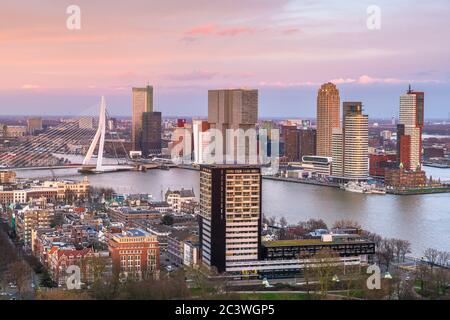 Rotterdam, Paesi Bassi, skyline della città sul fiume Nieuwe Maas al crepuscolo. Foto Stock