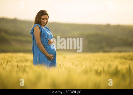 Giovane donna incinta in abito blu nel campo estivo Foto Stock