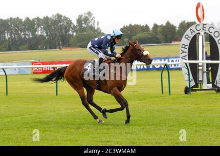 Que Amoro e Paul Mulrennan vincono la Terra EBF dei Burns Fillies Stakes all'Ippodromo di Ayr. Foto Stock