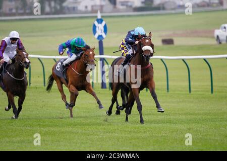 Que Amoro e Paul Mulrennan vincono la Terra EBF dei Burns Fillies Stakes all'Ippodromo di Ayr. Foto Stock