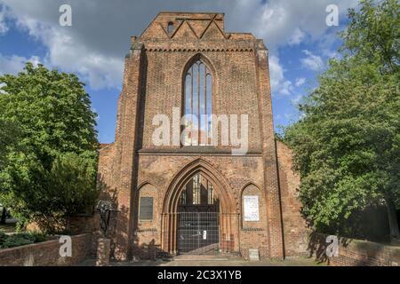 Rovine, chiesa del monastero francescano, strada del monastero, Mitte, Berlino, Germania, Ruine, Franziskaner-Klosterkirche, Klosterstrasse, Germania Foto Stock