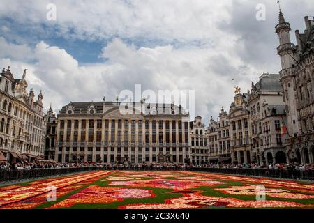 Tappeto floreale in Bruxelles Gran Place Foto Stock