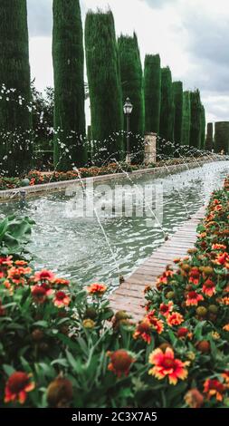 Cordova / Spagna - Ottobre 2019: Bella piscina con fontane in un giardino della famosa fortezza Alcázar de los Reyes Cristianos in Andalusia. Primo piano Foto Stock