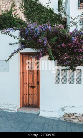 Piccola porta marrone su un muro bianco fuori in Spagna. Ingresso alla casa o appartamento in affitto. Ricoperti di bellissimi rami viola e rosa Foto Stock