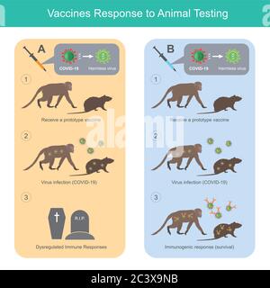 Risposta dei vaccini ai test sugli animali. Illustrazione per uso medico per confrontare i vaccini di tipo 2, che ha effetti diversi sulla sperimentazione animale (scimmia e. Illustrazione Vettoriale