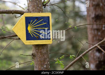 Bordeaux, Aquitaine / Francia - 01 01 2019 : conchiglia gialla che firma la strada per santiago de compostela sulla rotta di pellegrinaggio di san giacomo in spagna Foto Stock