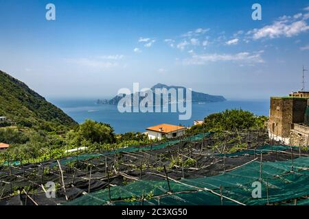 Isola di Capri, Sorrento, Italia Foto Stock