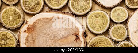 Screensaver, sfondi, texture, concetto di lavorazione del legno - uno sfondo in legno fatto di tronchi di alberi tagliati di diametri diversi sotto forma di A. Foto Stock