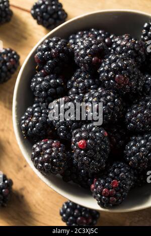 Frutti di bosco freschi e biologici grezzi in un recipiente Foto Stock