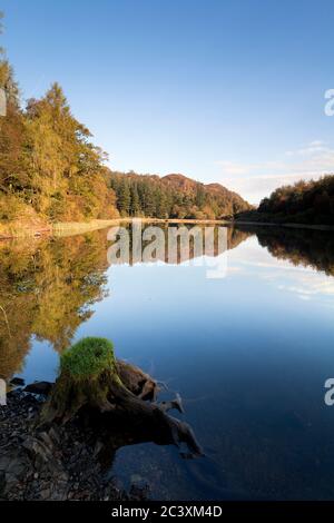 Riflessioni in Yew Tree Tarn a Yewdale, Cumbria, Regno Unito Foto Stock