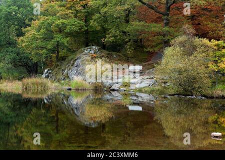 Panca di legno in Penny Rock Wood sulle rive del lago Grasmere, Lake District, UK Foto Stock