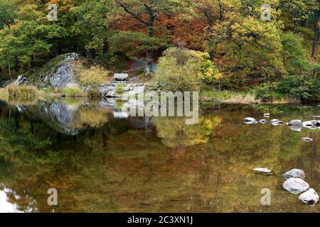 Panca di legno in Penny Rock Wood sulle rive del lago Grasmere, Lake District, UK Foto Stock