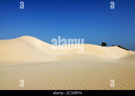 Grandi dune di sabbia bianca alla spiaggia di Aomak al tramonto, isola di Socotra, Yemen. L'area protetta della spiaggia di Aomak, Golfo di Aden, Mare Arabico Foto Stock