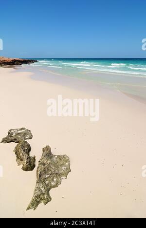 La splendida spiaggia di sabbia vicino a Dihamri sulla costa indiana dell'oceano sull'isola di Socotra, Yemen, Africa Foto Stock