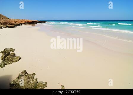 La splendida spiaggia di sabbia vicino a Dihamri sulla costa indiana dell'oceano sull'isola di Socotra, Yemen, Africa Foto Stock