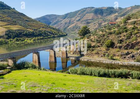 Vista panoramica sulla valle del Douro e sul fiume con vigneti terrazzati vicino al villaggio di Tura, Portogallo Foto Stock