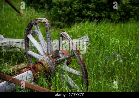 I resti di un vecchio carro in legno e acciaio arrugginito, compresa una ruota di carro in legno, sono sdraiati in erba alta in un ambiente rurale. Foto Stock