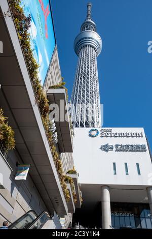 Tokyo Skytree Tower - Vista dal basso. Tokyo, Giappone Foto Stock