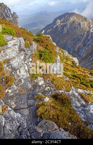 Vista dalle pendici del Frenchmans Cap Foto Stock