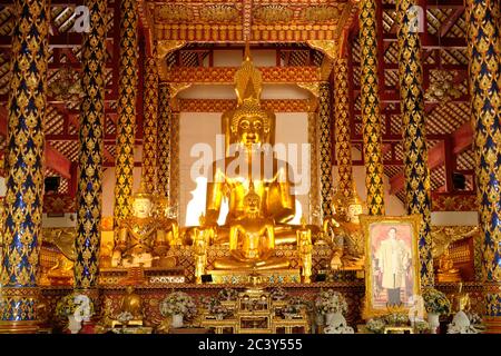 Chiang mai Thailandia - Tempio Suan Dok statua dorata di Buddha Foto Stock