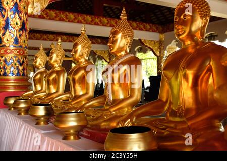 Chiang mai Thailandia - Tempio Suan Dok statue Buddha d'oro con ciotola di alma Foto Stock