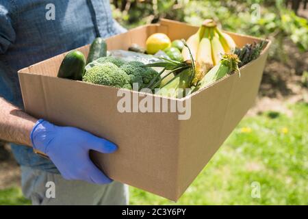 Persona di consegna che tiene scatola con frutta e verdura Foto Stock