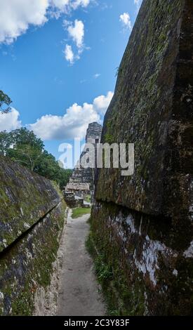 Guatamala, Tikal, Vista della piramide Maya Foto Stock