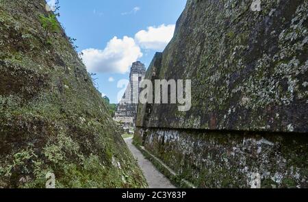 Guatamala, Tikal, Vista della piramide Maya Foto Stock