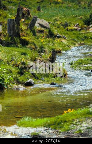 Vista panoramica di una campagna stumpica e di un piccolo torrente che scorre lungo le montagne Tauri Schladminer verso lo 'Steirischer Bodensee', Austria Foto Stock