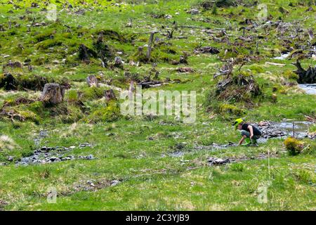 Ragazzo che sbatte in un piccolo torrente alpino e gioca con l'acqua pura e fresca che scorre lungo le montagne che circondano lo 'Steirischer Bodensee', Austria Foto Stock